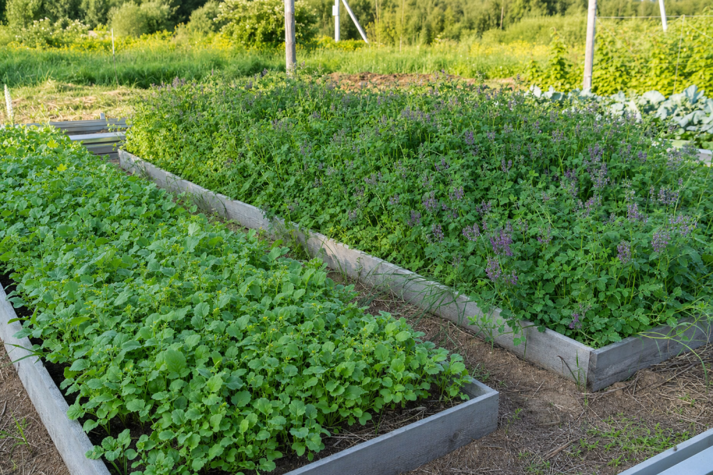 image-3551726.png image-3551726.png