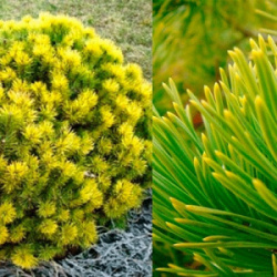 2746f5a9a9033382d99f311e40603bf0